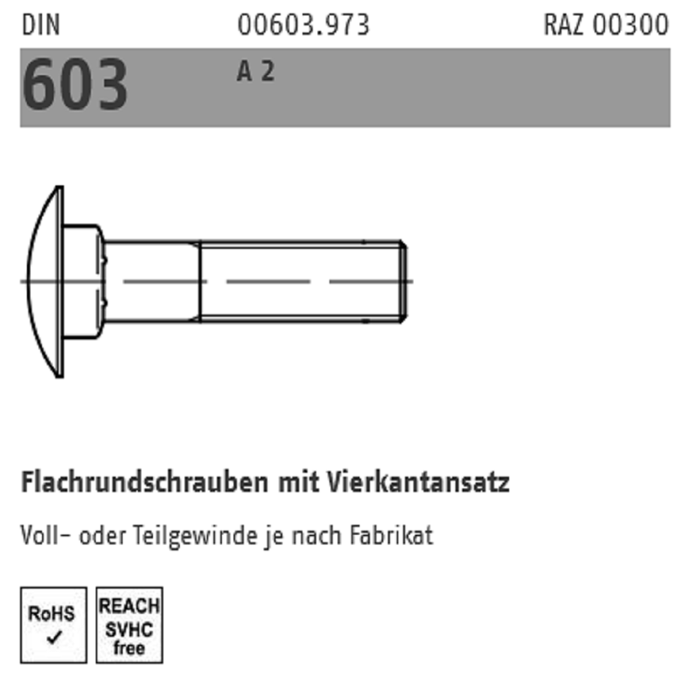 Reyher Flachrundschraube ohne Mutter A2 Edelstahl 8xXX mm