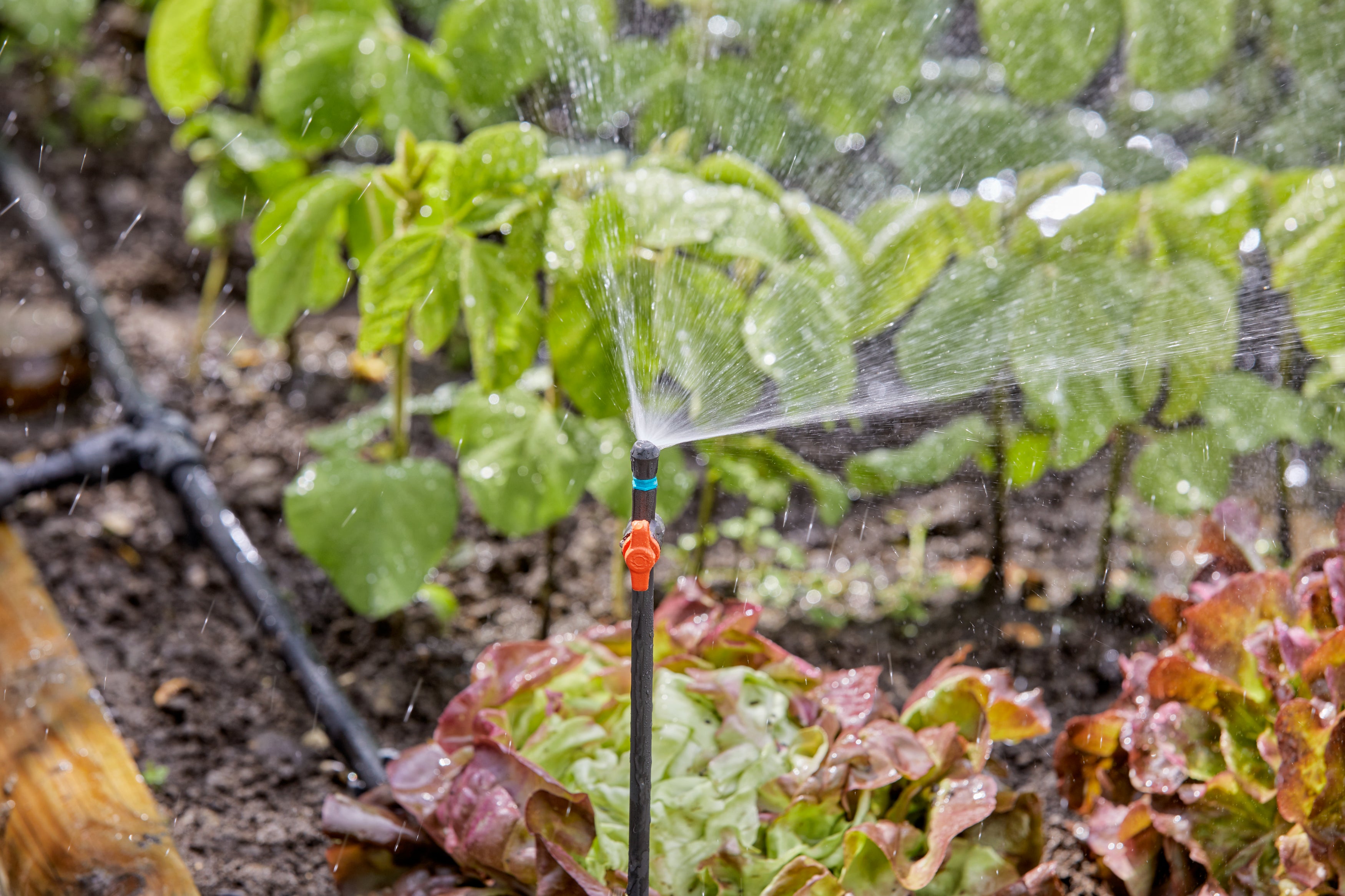 Gardena Micro-Drip-System Verlängerungsrohr für Sprühdüsen #13326-20.