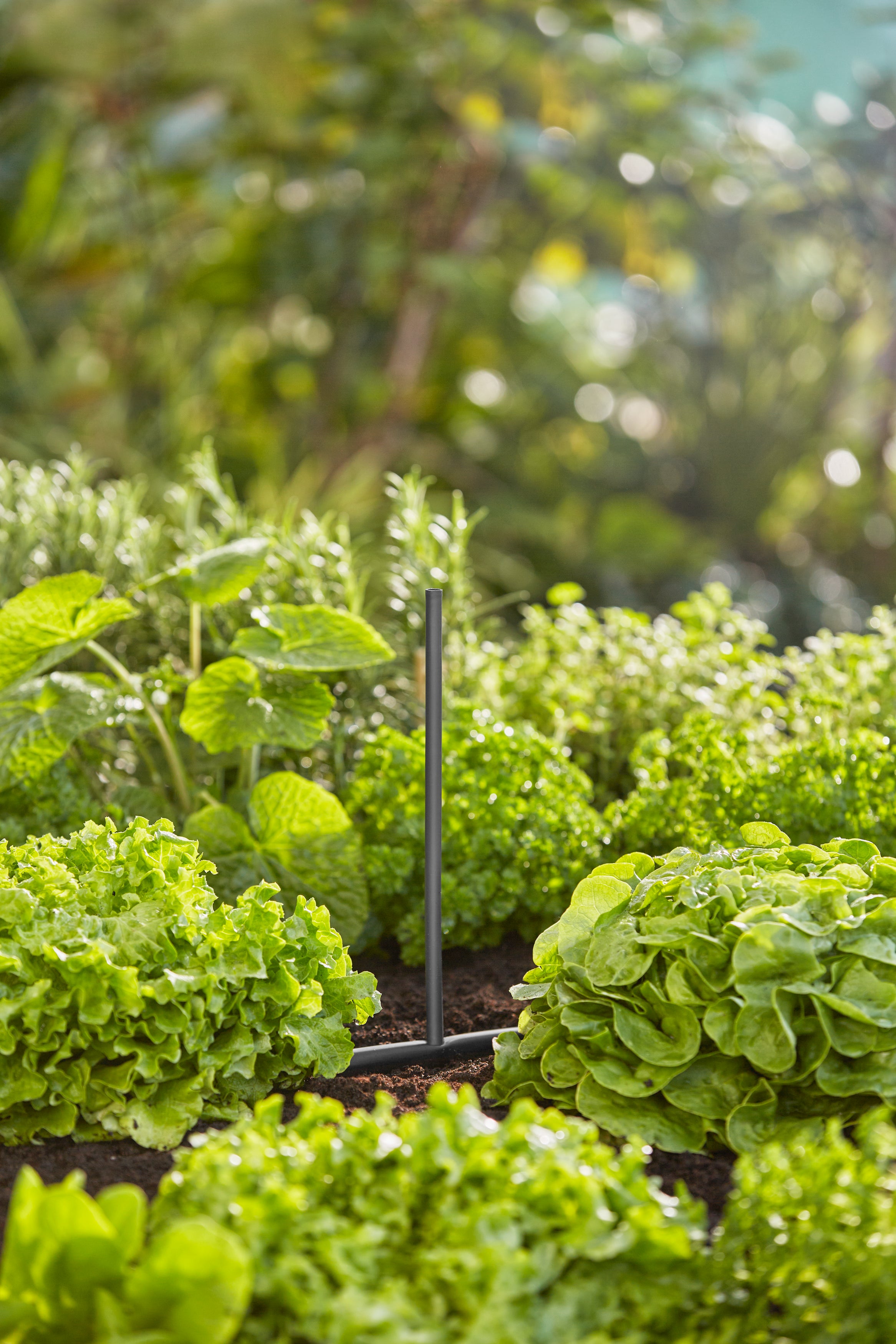 Gardena Micro-Drip-System Verlängerungsrohr für Sprühdüsen #13326-20.